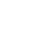 Salomon logo.